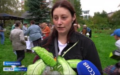 Вести Поморья в 9:30, эфир 22 сентября 2026 г.