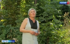 Что скрывает двор усадьбы Монякова на улице Носовской