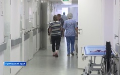 "Смотрите под ноги, даже в ванной": змеи атакуют приморцев в самых неожиданных местах