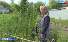 У кого-то горячая вода, а у кого-то щебенка вместо асфальта и горы земли во дворе