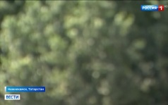 В Нижнекамске «Умный город» сокращает преступность и улучшает жизнь горожан