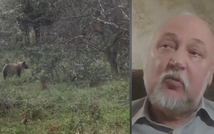 Зоолог Веревкин объяснил, почему на людей нападают молодые медведи