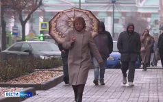 К полудню Курскую область накроет сильный дождь