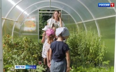 Для тамбовских детсадовцев организуют праздник «Орлят-дошколят»