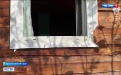 Медведь унес шестую жертву в Красноярском крае