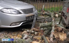 Без электричества жителей нескольких улиц Курска оставила непогода