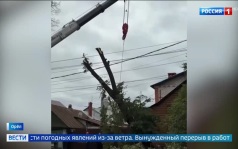 Сильный ветер парализует Москву и Орел