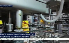 Мощность — 80 тонн обработанного зерна за сутки. Новое мукомольное производство открыли в Усольском округе