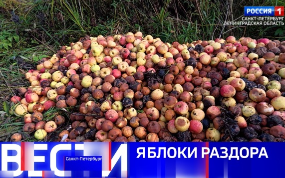 Эфир от 24.09.2026 (21:10)