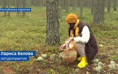 Вести Арктики с Алексеем Шемякиным, эфир 25 сентября 2026 г.