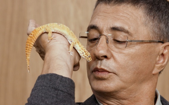 26.09.2026