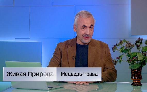 Живая природа. "Медведь-трава". Эфир от 26.09.2026
