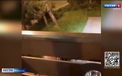Эфир от 26.09.2026 (21:10)