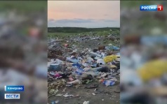 Жители Кемерова заметили медведя во дворе одного из домов