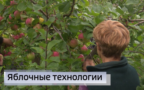Эфир от 26.09.2026 (14:30)