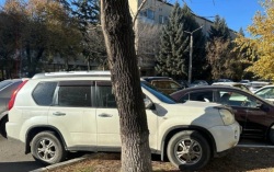 Больше 130 протоколов: благовещенских водителей оштрафовали на 300 тысяч за парковку