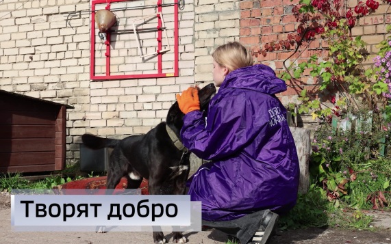 Эфир от 29.09.2026 (09:30)
