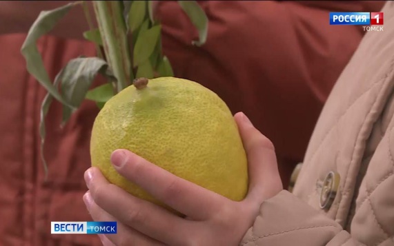 Эфир от 30.09.2026 (09:30)