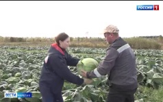 «Вести-Карелия». 29.09.26