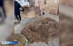 Эфир от 30.09.2026 (09:30)