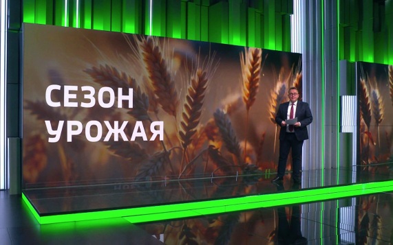Поля на финишной прямой: уборка завершается, озимый сев набирает ход