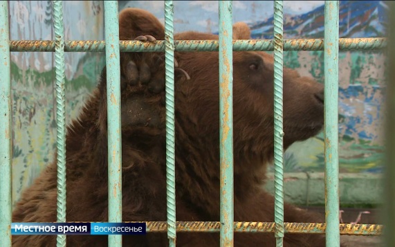 Эфир от 04.10.2026