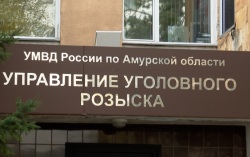 100% раскрываемости: как уголовный розыск Амурской области справляется с убийствами и кражами