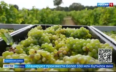 Эфир 05.10.2026 (11:30)