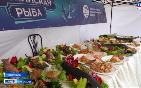В Махачкале проходит Фестиваль каспийской рыбы