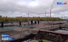 Эфир от 01.10.2026 (21:10)