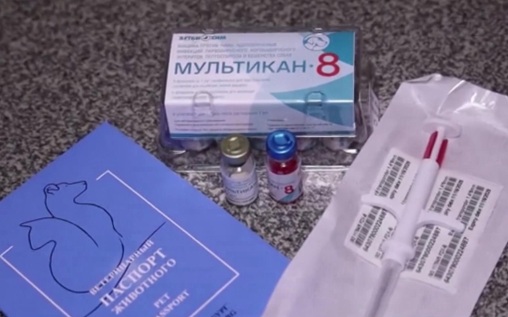 Прокуратура Москвы возбудила дело о поддельном паспорте вакцины "Мультикан-8", связанной со смертью собак
