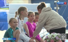 В Белгороде проходит первенство области по спортивной гимнастике
