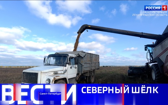 Эфир от 07.10.2026 (11:30)