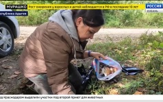 Эфир от 07.10.2026 (17:30)