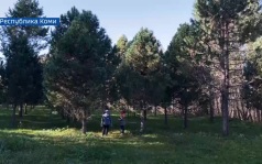 Вести Арктики с Ирадой Шириновой, эфир 7 октября 2026 г.