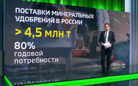 Рубины, удобрения и цифровые решения: чем живет российская экономика