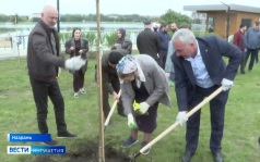 45 саженцев рябины высадили в экс-столице Ингушетии