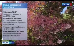 Заповедное богатство: в Курской области развивают природные территории и экотуризм