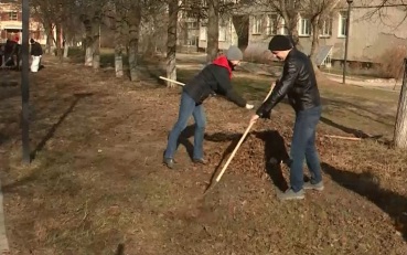 Жителей Йошкар-Олы приглашают на субботник в Сосновую рощу