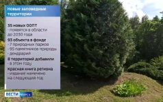 Новые площади будут присоединены к заповеднику имени Алёхина в Курской области