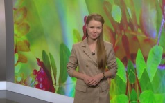 Эфир от 08.10.2026