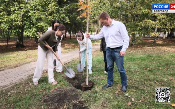 Аллея памяти белгородских журналистов пополнилась новыми деревьями