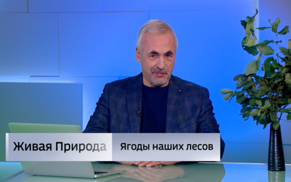 Живая природа. "Ягоды наших лесов". Эфир от 26.09.2026