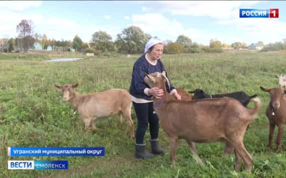 Эфир от 08.10.2026 (21:10)