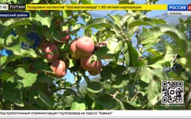 Эфир от 09.10.2026 (17:30)