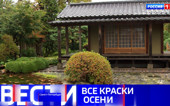 Эфир от 10.10.2026 (20:50)