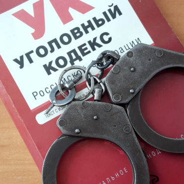 За публикацию петушиных боев можно ответить лишением свободы