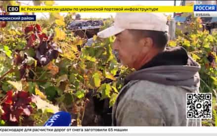 Эфир от 12.10.2026 (17:30)