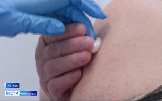 Вести Поморья в 9:30, эфир 13 октября 2026 г.