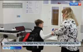 Роспотребнадзор сообщил о многочисленных случаях заболеваемости в учебно-воспитательных заведениях Нижегородской области